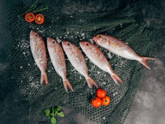 Matlagning med fisk illustration