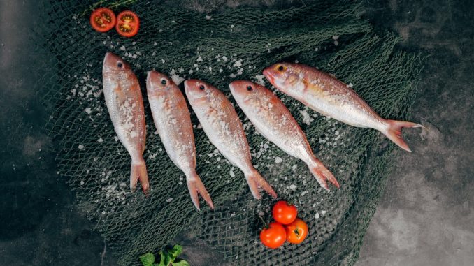 Matlagning med fisk illustration