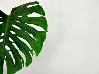 Uppstickande trender inom matlagning för 2024 illustration